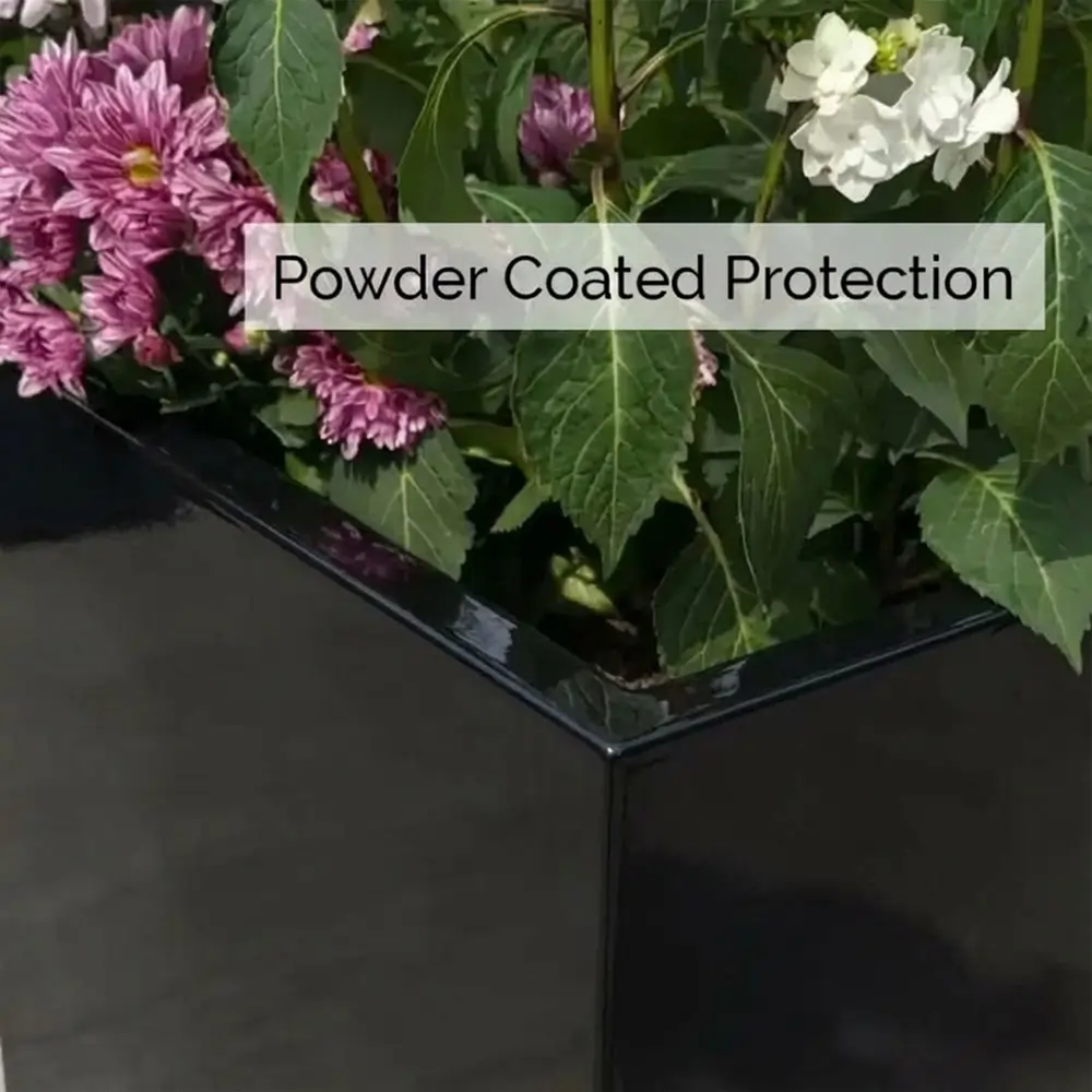 Product image 101