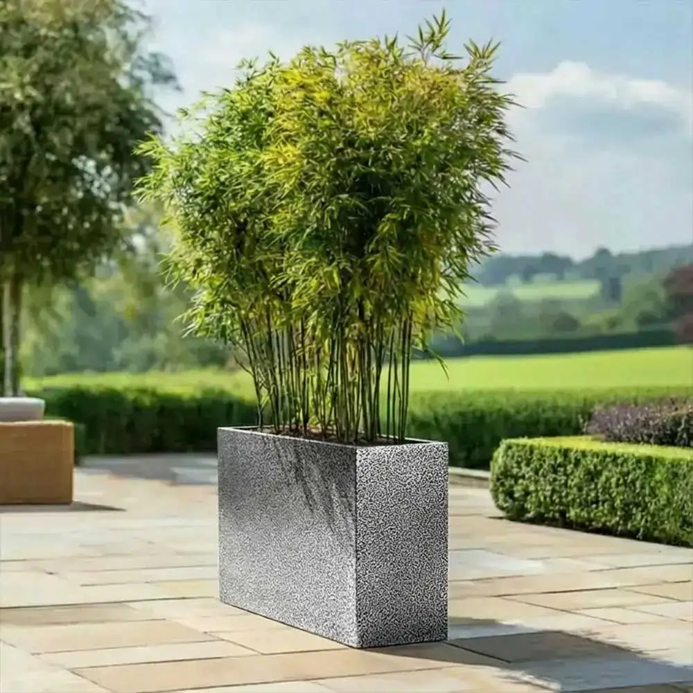 Product image 172