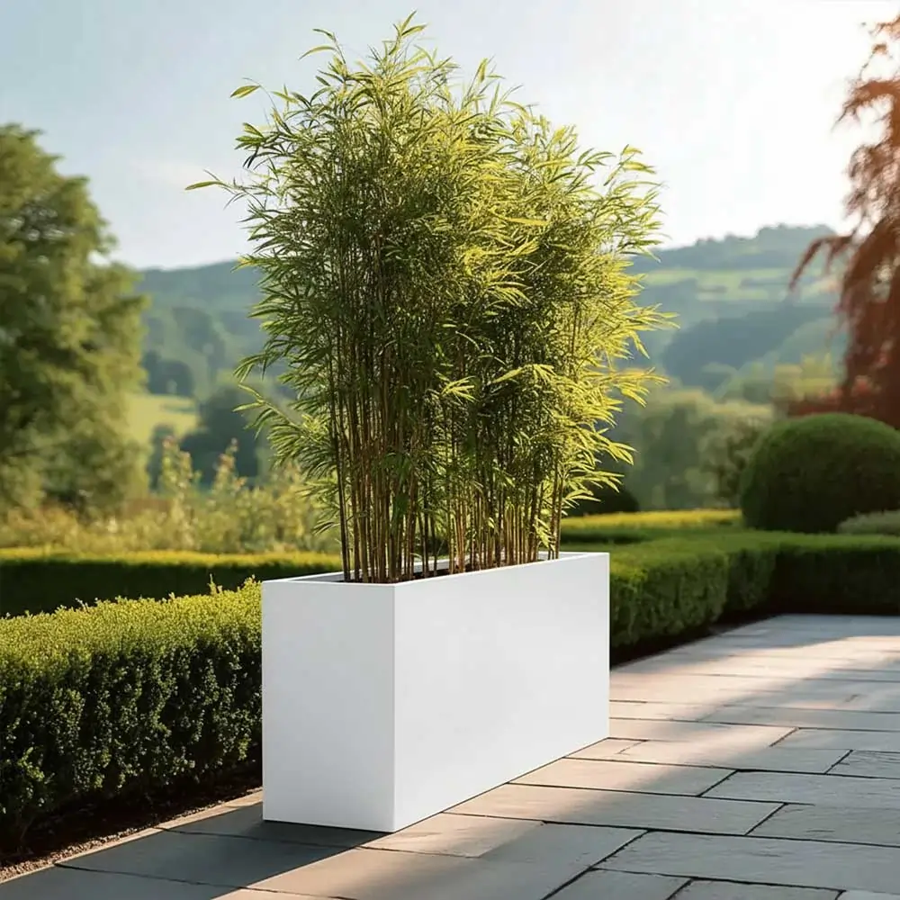 Product image 200