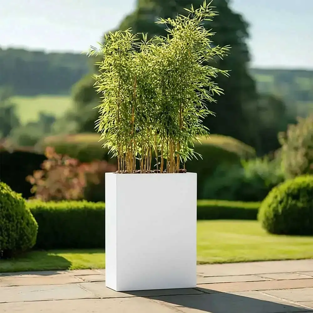 Product image 201