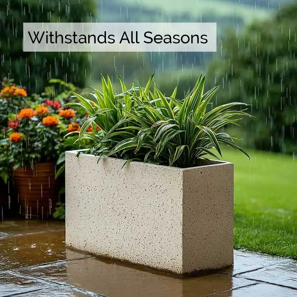 Product image 207