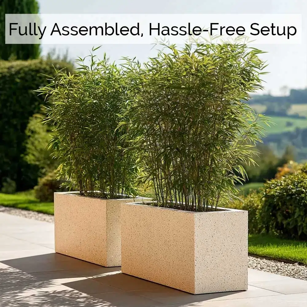 Product image 208