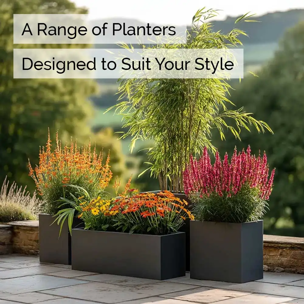 Product image 101
