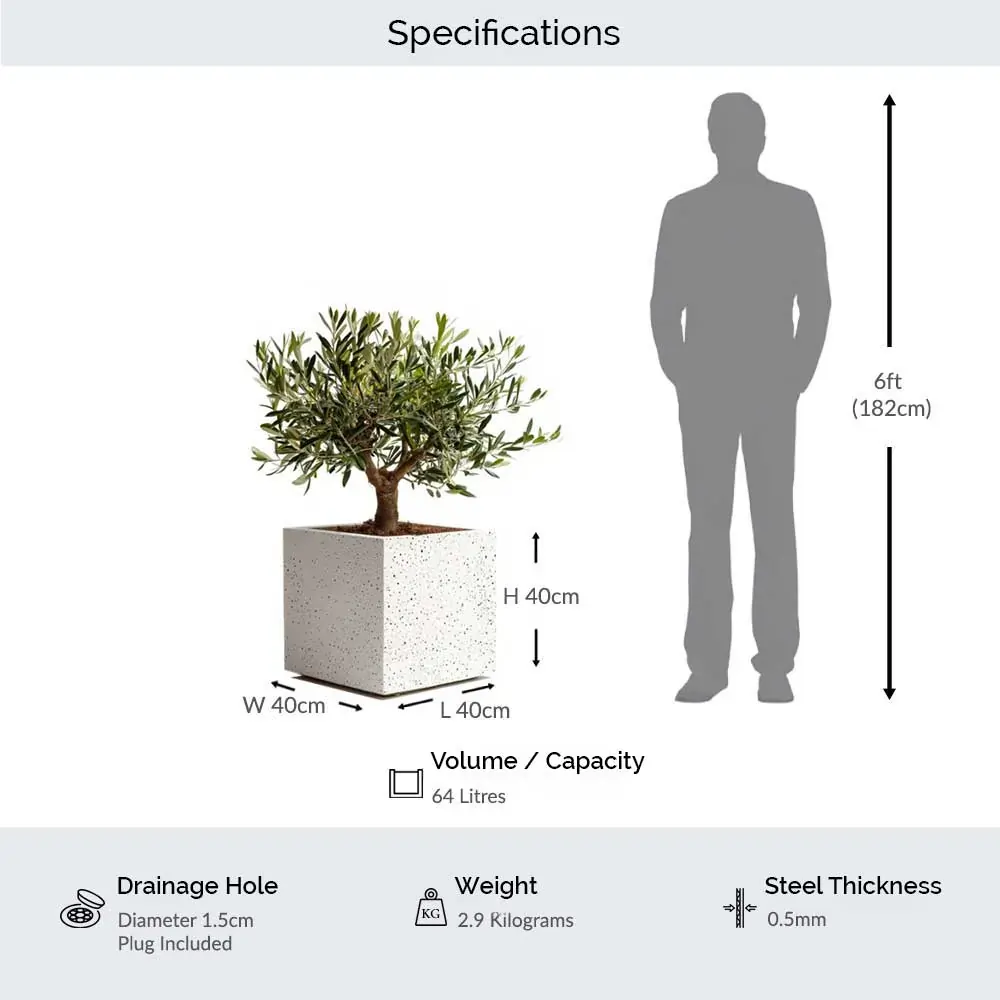 Product image 181