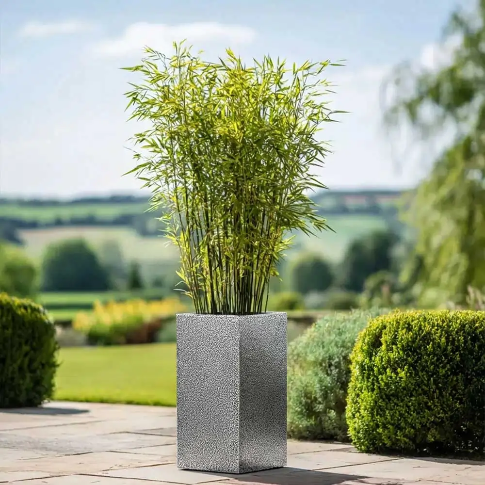 Product image 125