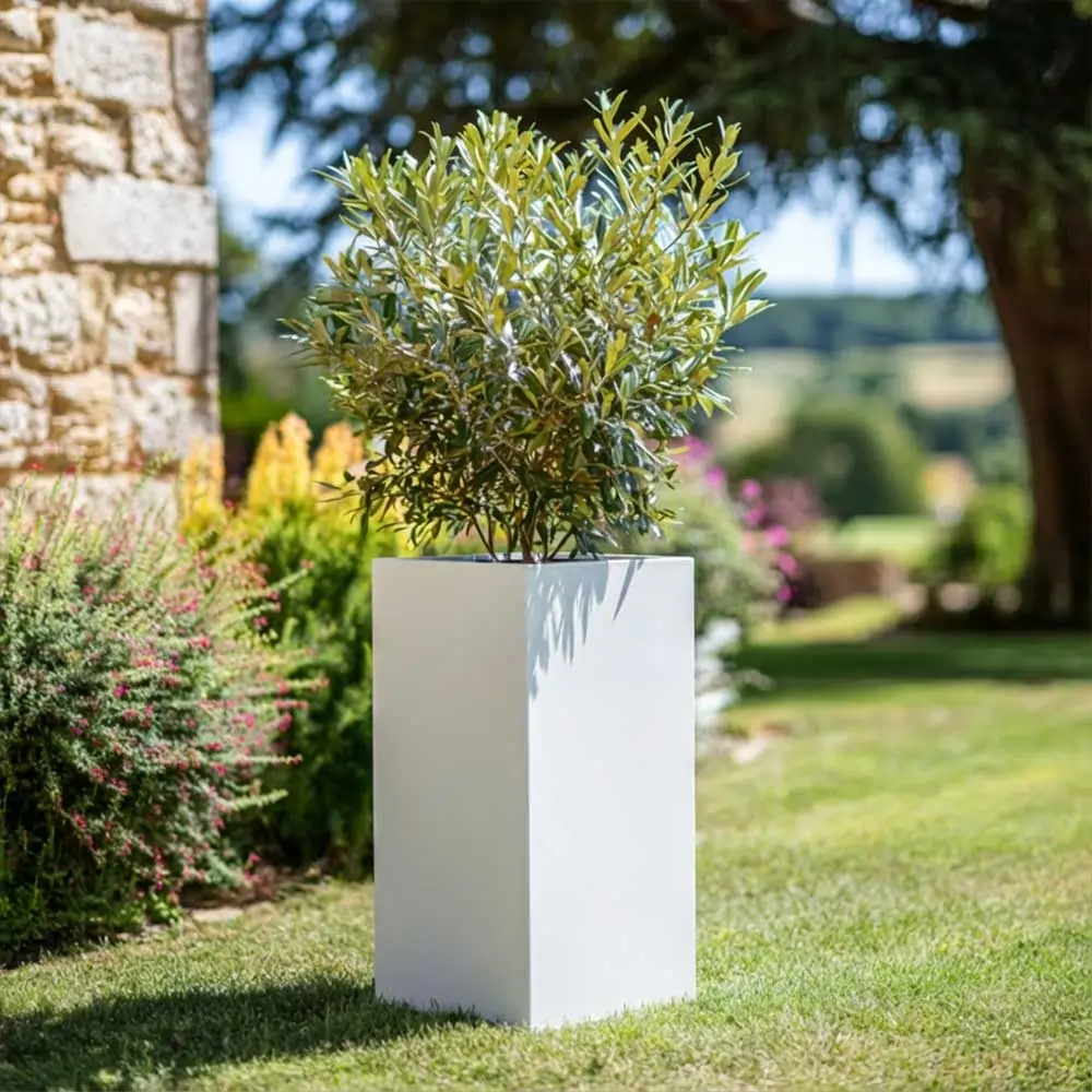 Product image 144