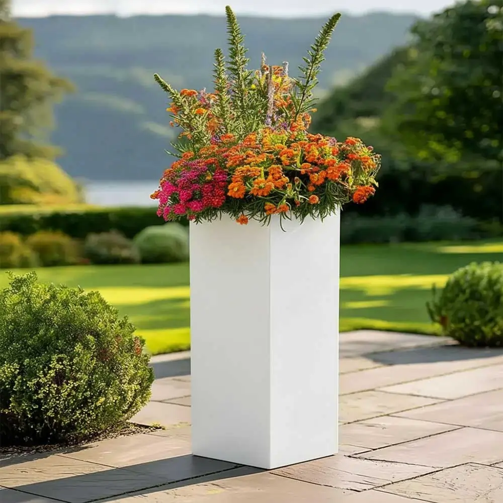 Product image 145