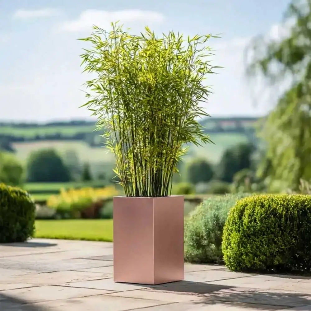 Product image 89