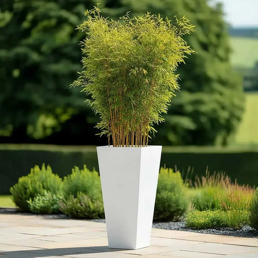 Product image 103