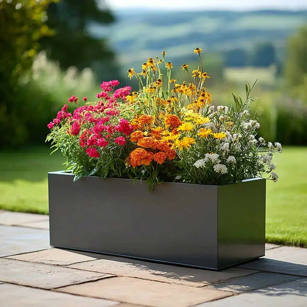 Product image 101